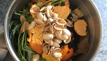 Learn how to Compost at Home