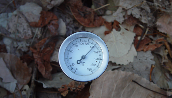 Composting thermometer measuring temperature after four days