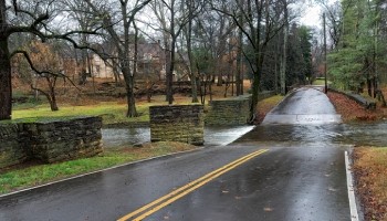  a flooded road in a wooded area