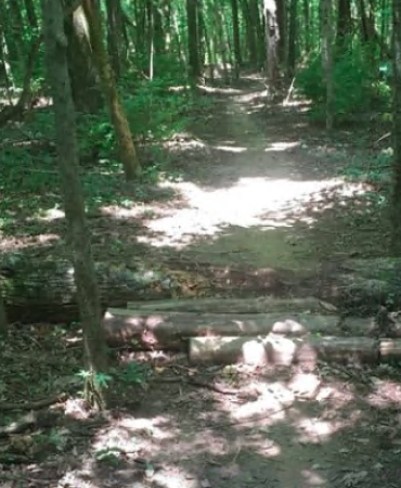 Cane Ridge Park trail