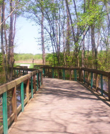 Shelby Bottoms Park trail