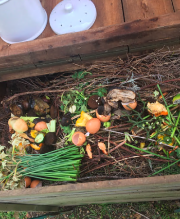 compost pile with eggshells, cut daffodils, twigs, and other discarded vegetables 