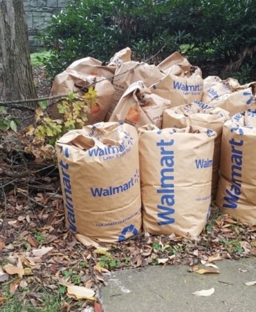 Bagged brush and yard waste for curbside collection
