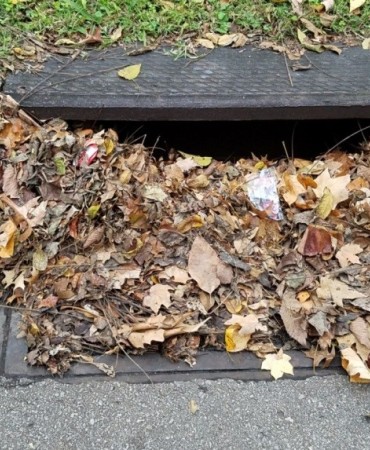 Storm water drains clogged with Fall leaves and other trash can cause flooding and other road hazards