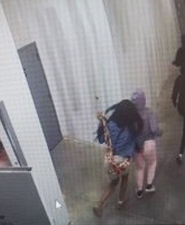 Shoplifting suspects